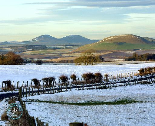 Scottish Borders Eildon Hills 9C43D-04.JPG